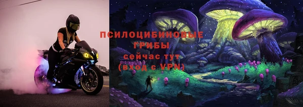 сатива Вяземский