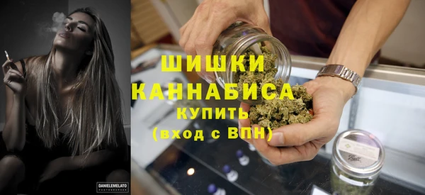сатива Вяземский