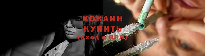 сатива Вяземский