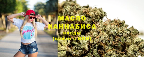 сатива Вяземский