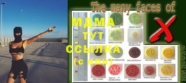 сатива Вяземский