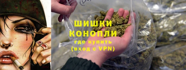 ГАЛЛЮЦИНОГЕННЫЕ ГРИБЫ Тихвин
