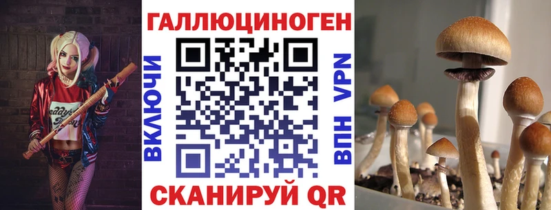 что такое наркотик  Канск  Псилоцибиновые грибы мицелий 